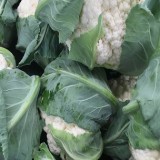 Snowball Cauliflower