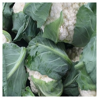 Snowball Cauliflower