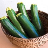 Dark Green Zucchini Squash