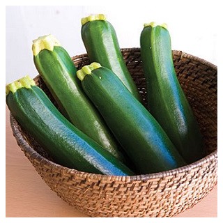 Dark Green Zucchini Squash