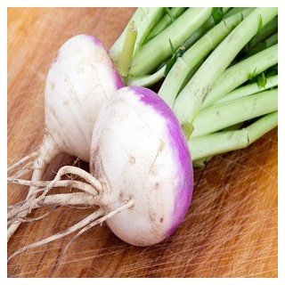 Purpletop White Globe Turnip