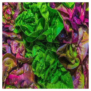 Gourmet Leaf Lettuce Blend