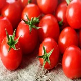 Large Red Cherry Tomato