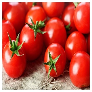 Large Red Cherry Tomato