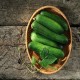 Marketmore 76 Cucumber
