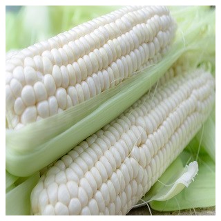 Stowell's Evergreen Corn