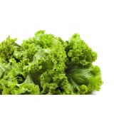 Southern Giant Curled Mustard