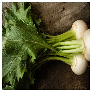 Seven Top Turnip
