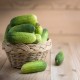 Ashley Organic Cucumber