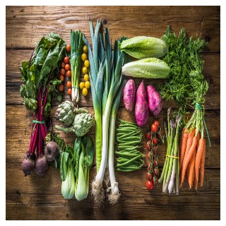 12 VARIETY GARDEN Heirloom Seed Package