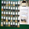 50 VARIETY Heirloom Seed Package
