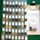 62 VARIETY GARDEN Heirloom Seed Package
