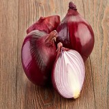 Red Burgundy Onion
