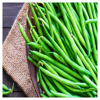 Kentucky Wonder Pole Bean