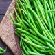 Kentucky Wonder Pole Bean