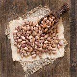 Bush Mexican Pinto Bean