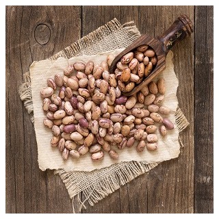 Bush Mexican Pinto Bean