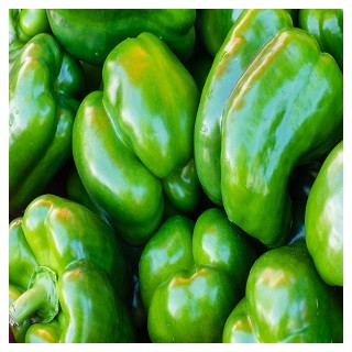 California Wonder Bell Pepper
