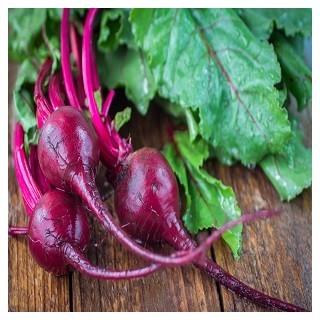 Detroit Dark Red Beet