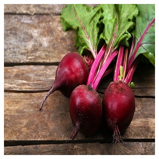 Early Wonder Beet