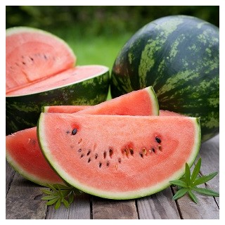 Crimson Sweet Watermelon