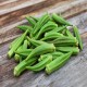 Clemson Spineless Okra