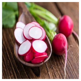 Crimson Giant Radish