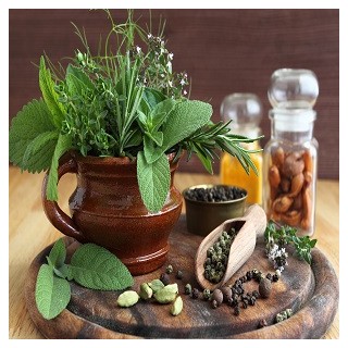 15 VARIETY MEDICINAL HERB Heirloom Seed Package