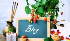 THE HOME GARDENING TREND IS UP!