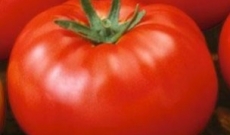 TOMATO REMEDIES THAT FIX ISSUES YOU MAY HAVE HAD...